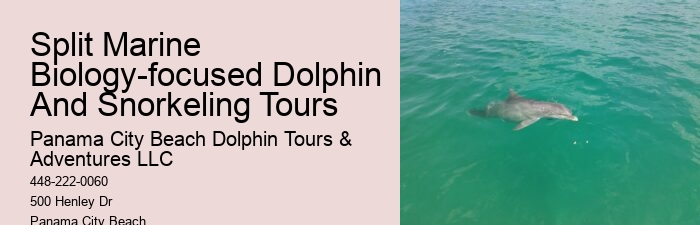 Salty Dogs Dolphin And Adventure Tours