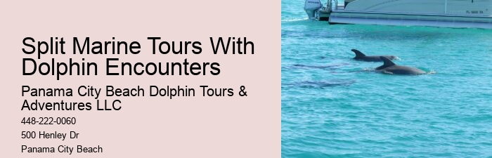 Guided tours