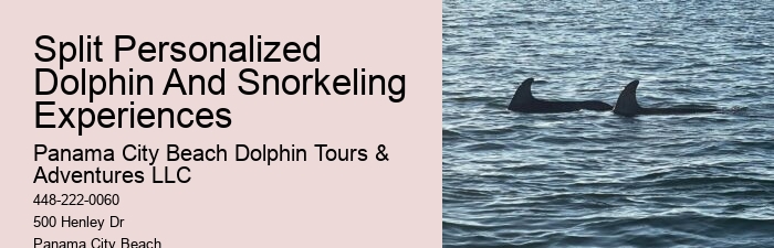 Split Charter Dolphin And Snorkeling Tours