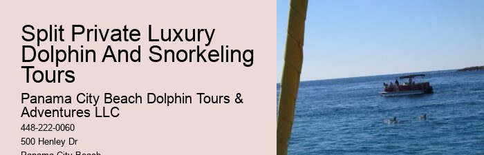 Panama City Beach Snorkeling Dolphins