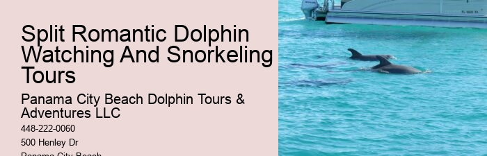 Dolphin Tours Near Me Panama City Beach