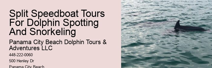 Panama City Beach Dolphin Sightseeing Trips