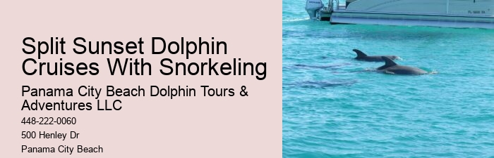 Panama City Beach Dolphin Voyage Tours