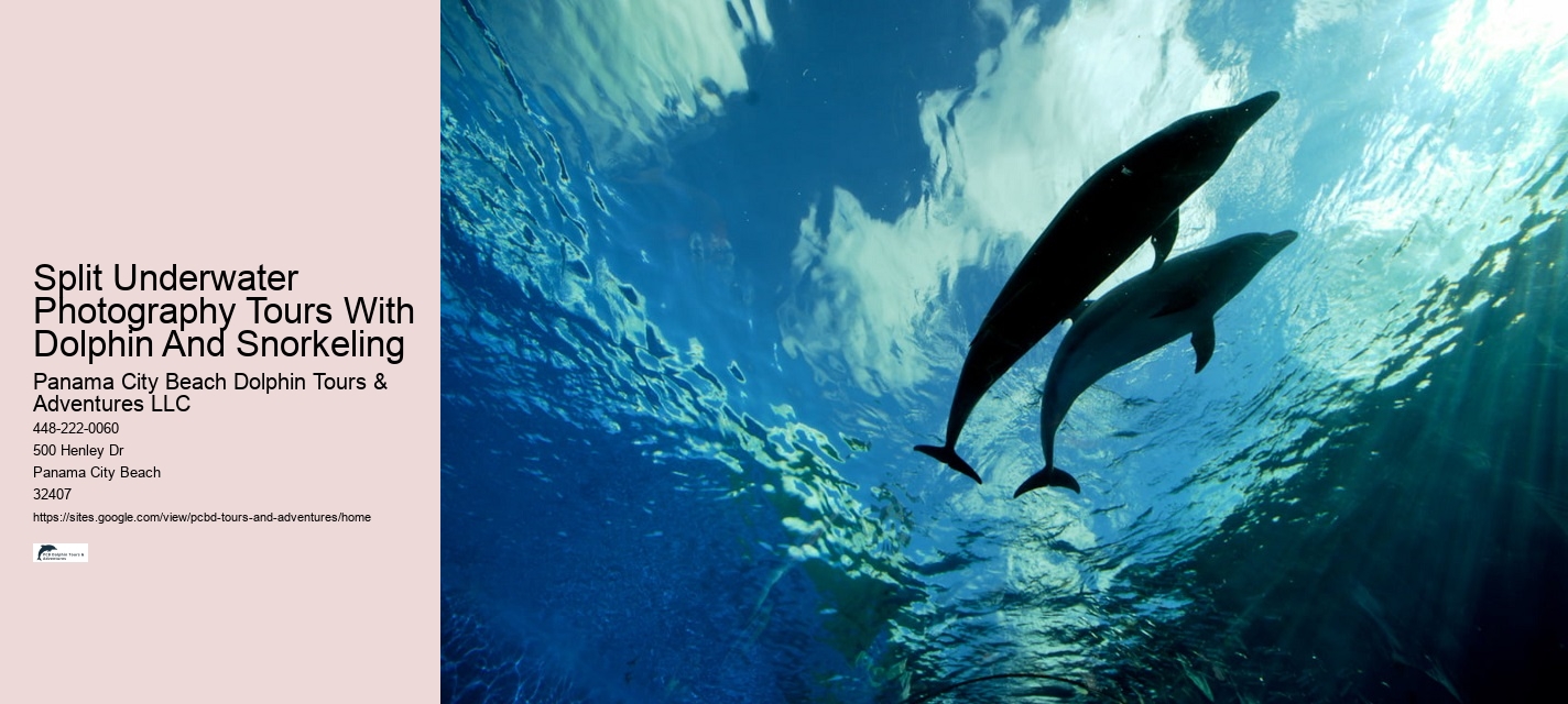 Private Dolphin Tours