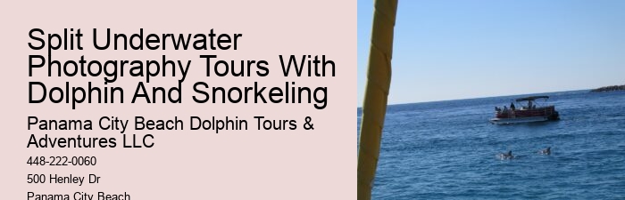 Papa Joe's Dolphin Cruise