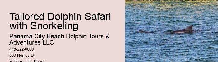 Can I book a private dolphin tour in Panama City Beach