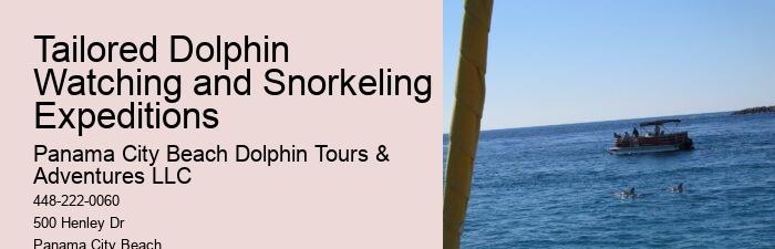 Split Private Snorkeling And Dolphin Watching Tours