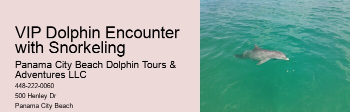Panama City Beach dolphin watching excursions