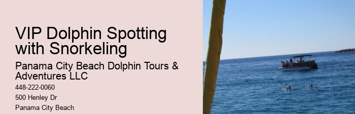 2 Hour Dolphin Cruise