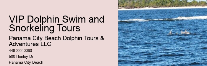 Split Marine Tours With Dolphin Encounters